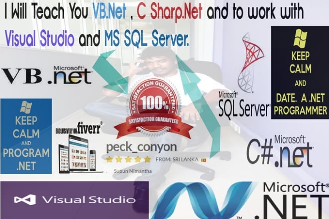 I will teach vb net,c sharp,java,sql,web online