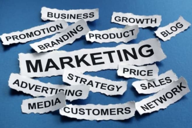 I will write an effective marketing strategy for your business
