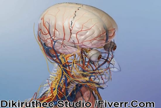 I will 3d medical animation high quality video and modeling