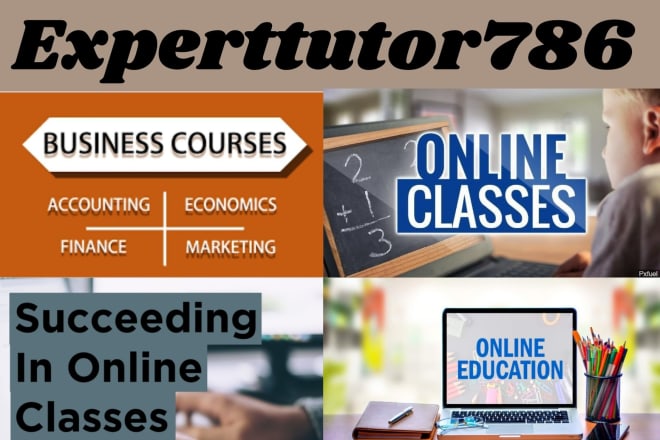 I will assist you in online lessons,classes and projects