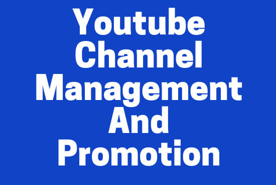 I will be your youtube channel growth manager