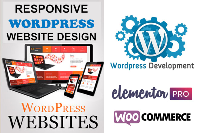 I will build a modern creative wordpress website