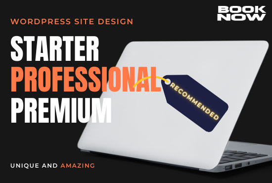 I will build fast, responsive wordpress full site with SEO