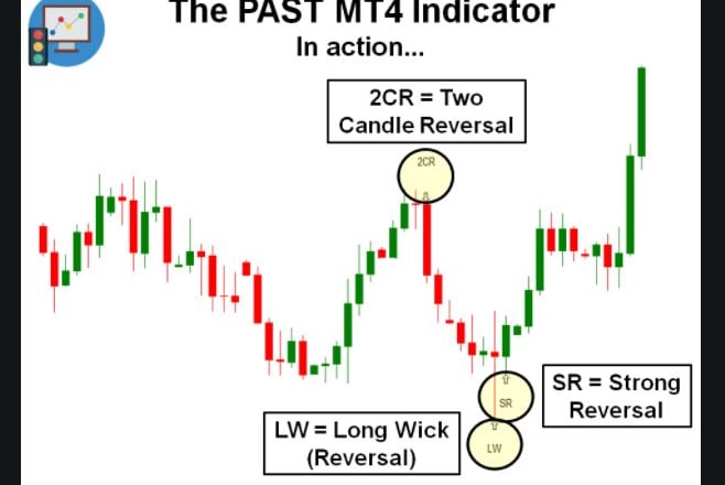 I will code indicator for mt4, mt5,ninjatrader, trading view,pinescript