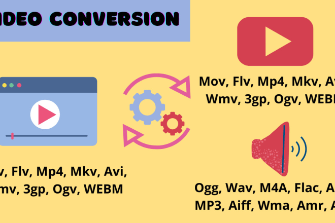 I will convert 1 video to any format flv mov avi mp4 mpg wmv mp3