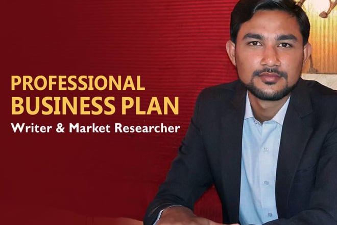 I will create business plan for you