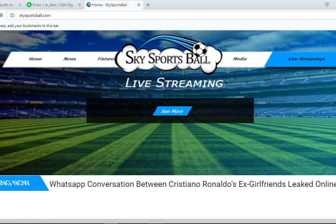 I will create business website, blog, a news site or a sports
