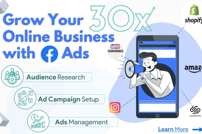 I will create facebook ads to grow your page likes