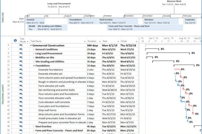 I will create gantt chart and project plan with microsoft project or called ms project