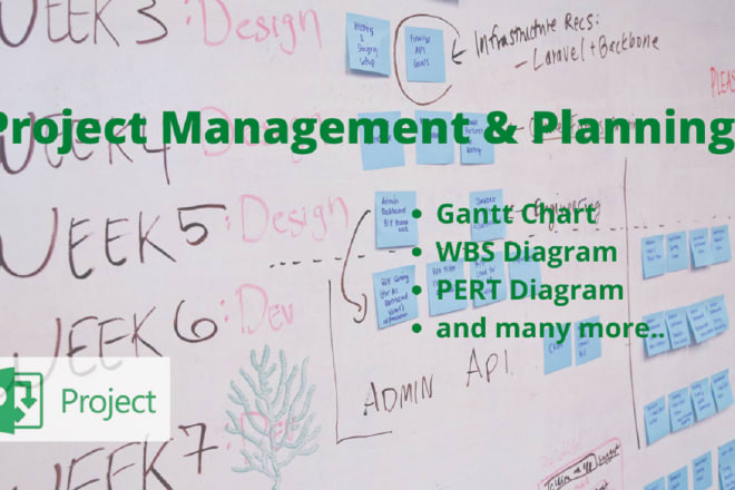 I will create gantt chart, project plan on ms project or ms excel