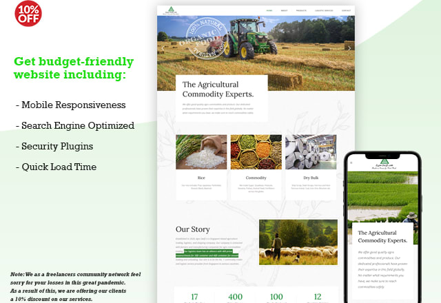 I will create professional budget friendly web solutions for you