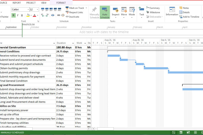 I will create project plan using microsoft project, critical path, gantt chart