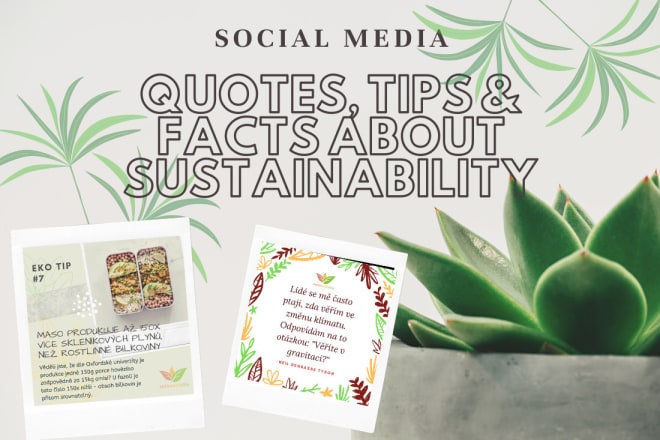 I will create social media sustainability tips and quotes posts