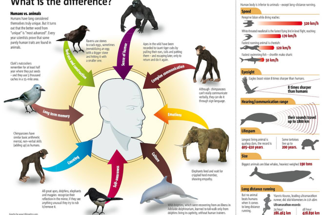 I will create visual infographic presentation