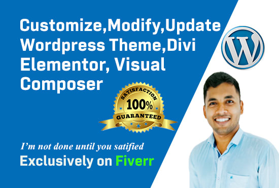 I will customize and update wordpress theme, edits divi, elementor, visual composer