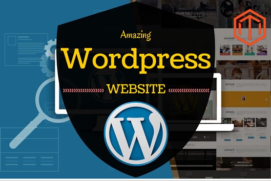 I will design and build a custom wordpress website