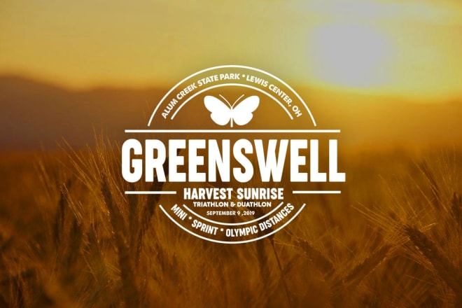 I will design modern vintage logo