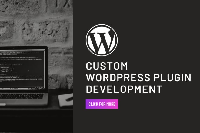 I will develop a custom wordpress plugin