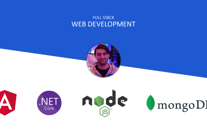 I will develop web application, pwa or spa using angular and dotnet