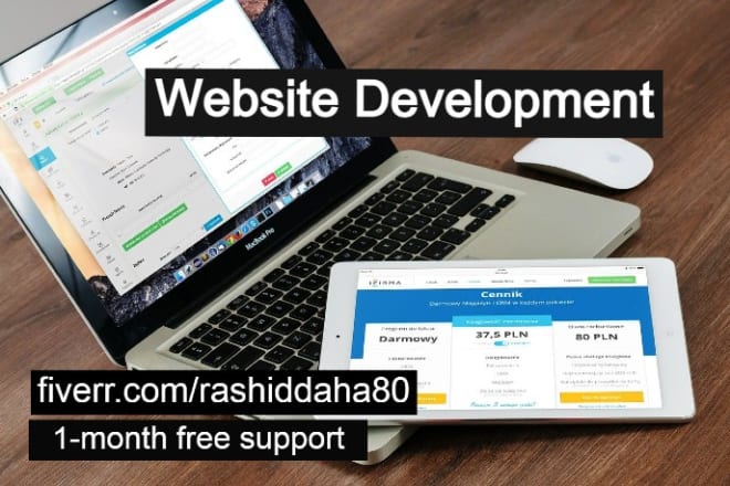 I will develop your website using angular js, react, django python