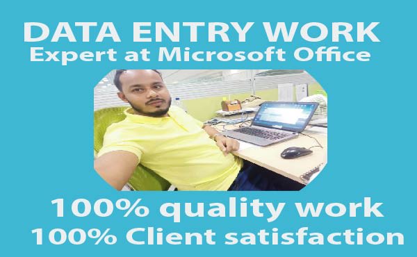 I will do a data entry job based on any software