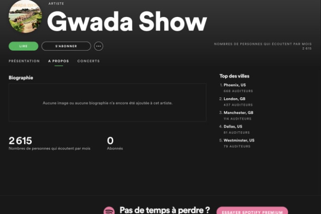 I will do a spotify promotion instagram in the USA and europe