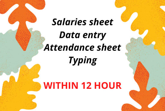 I will do all type of entries and data sorting in 24 hours