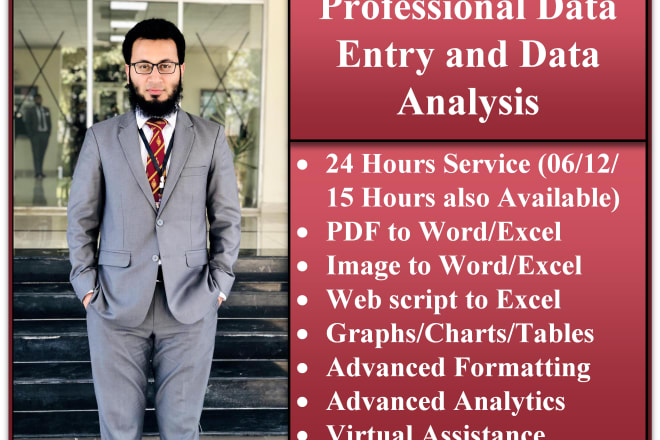 I will do any data entry or analysis job in just 24 hours one day