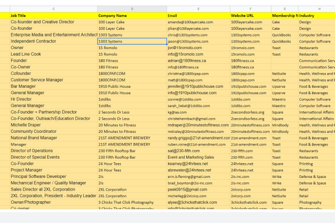 I will do any type of data entry which type needed excel format