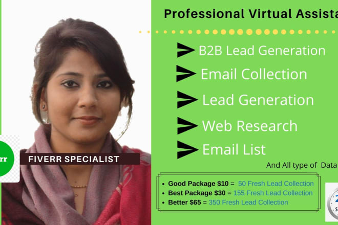 I will do b2b lead generation for targeted email collection VA