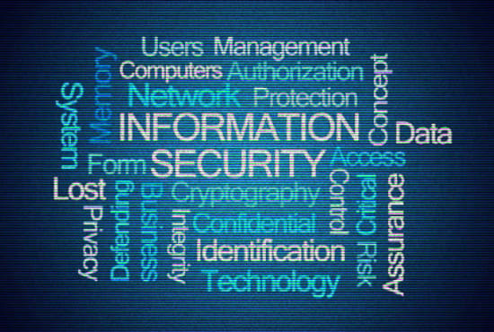 I will do cryptography and information security services
