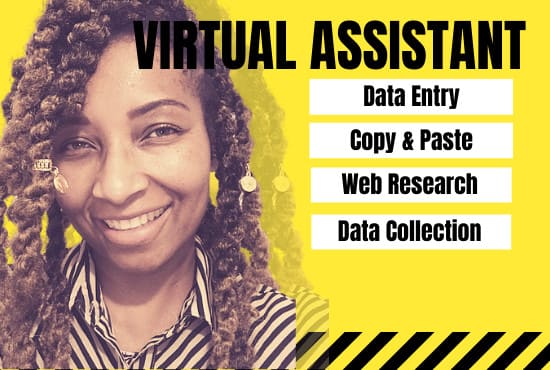 I will do data entry web research and data collection