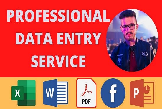 I will do excel data entry, copy paste, web research, and typing