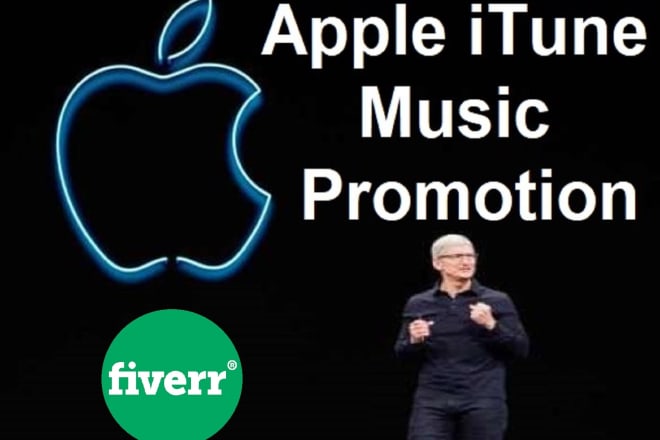I will do execute an outstanding apple itunes online music promotion