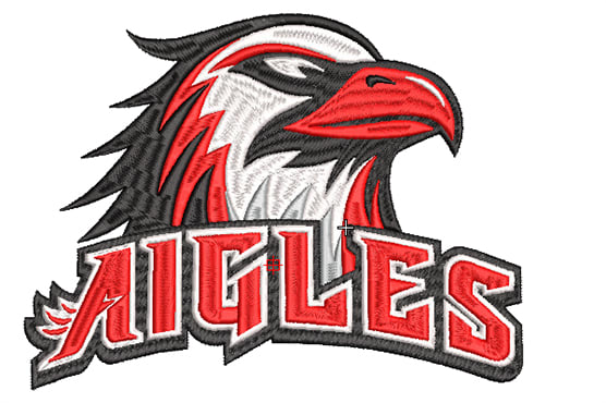 I will do logo embroidery digitizing within 1 hour