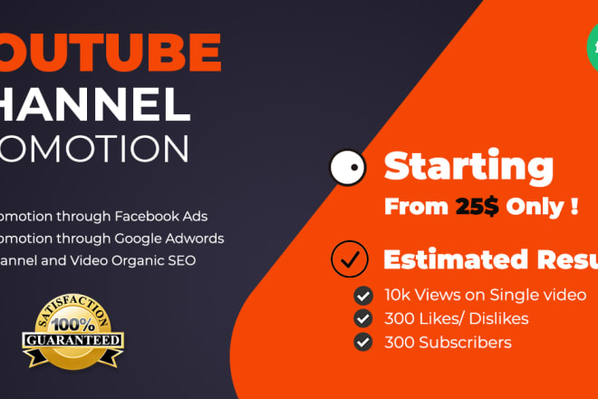 I will do organic youtube growth, ranking and promotion with google ads adwords