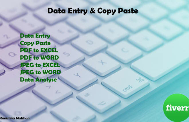 I will do perfect data entry, copy past PDF to word converter job