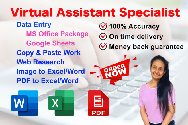 I will do perfect data entry within 5 hours