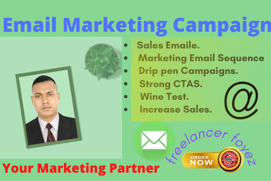 I will do profitable email marketing promotinos, sales email boats