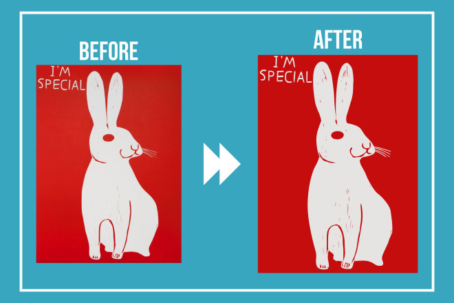 I will do vector tracing and redraw your picture to high resolution