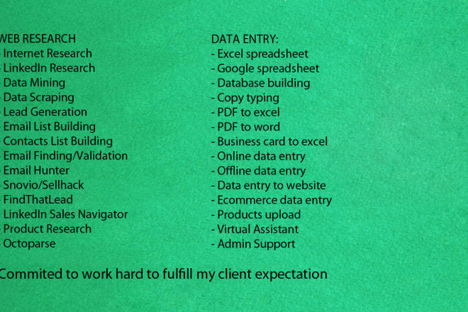I will do web research and data entry