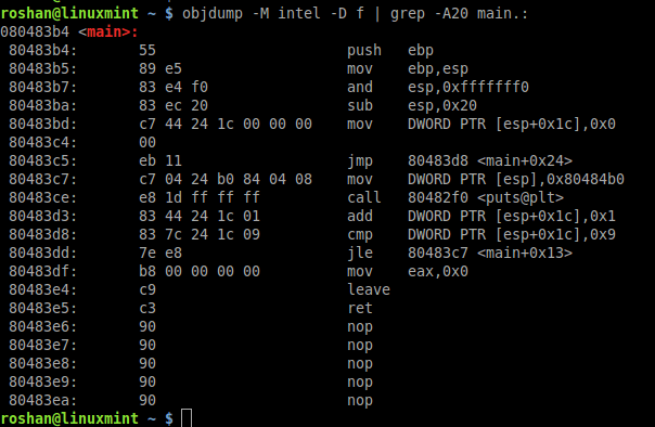 I will do x86 assembly language masm, nasm, tasm programming