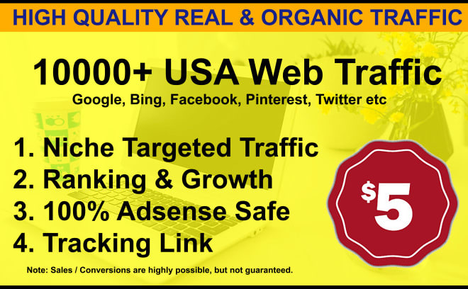 I will drive niche related targeted traffic to your ebay, amazon, shopify stores