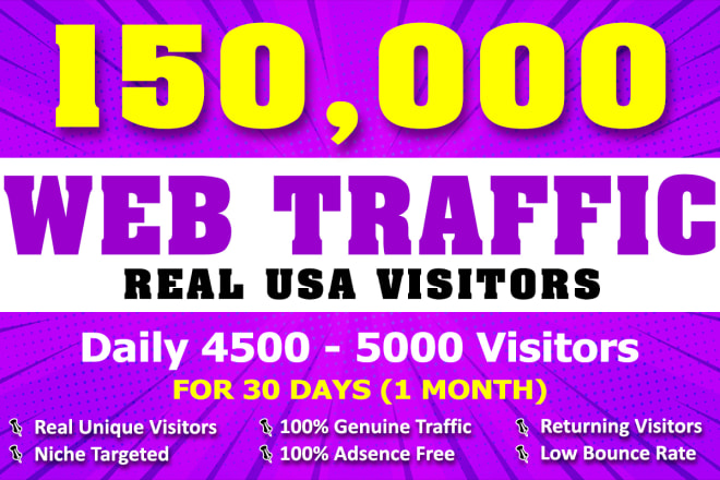 I will drive USA organic targeted web traffic real visitors for your website