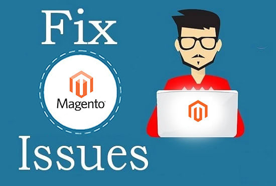I will fix magento bugs, errors, issues and customize your website