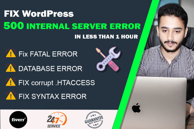 I will fix wordpress http 500 internal server error in 1 hour quickly