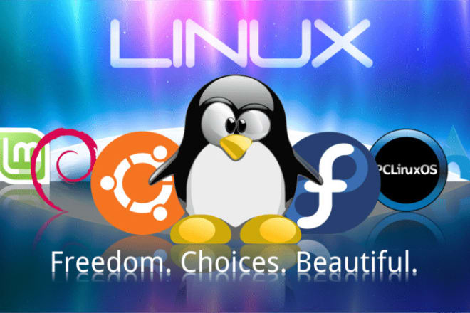 I will help you in on any linux and unix server tasks