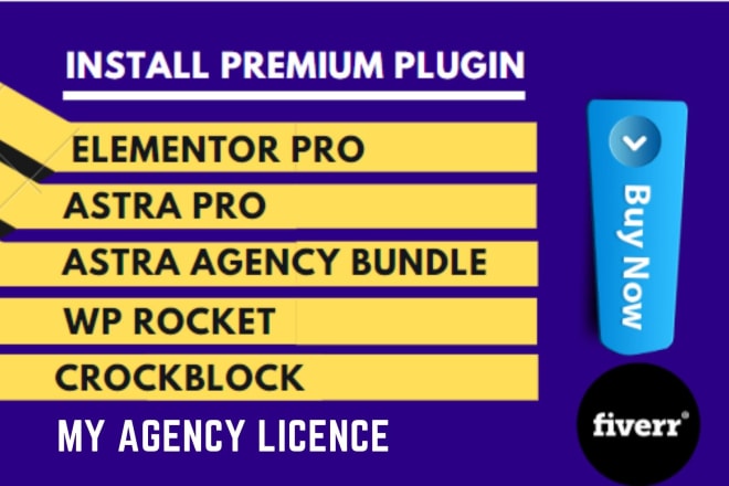 I will install elementor pro, astra pro, wp rocket, crockblock wordpress website design