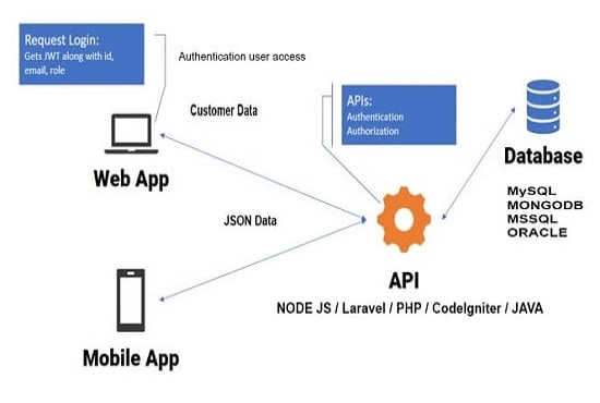 I will integrate API to your website