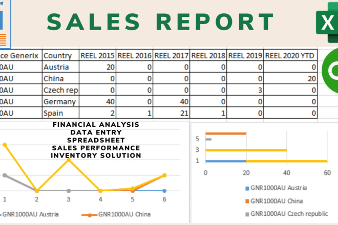 I will make a sales report for your bussiness